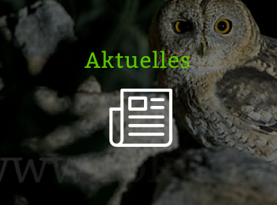 Aktuelles